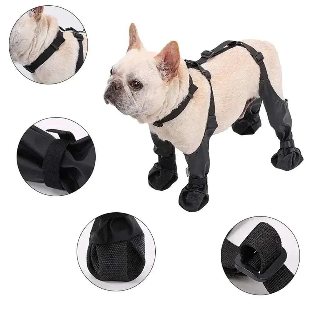 Adjustable connected dog boots providing paw protection with secure straps and durable material on a small dog