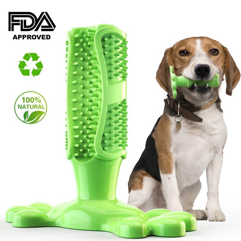 Green durable dog toothbrush chew toy with bristles and paw-shaped base, held by a dog
