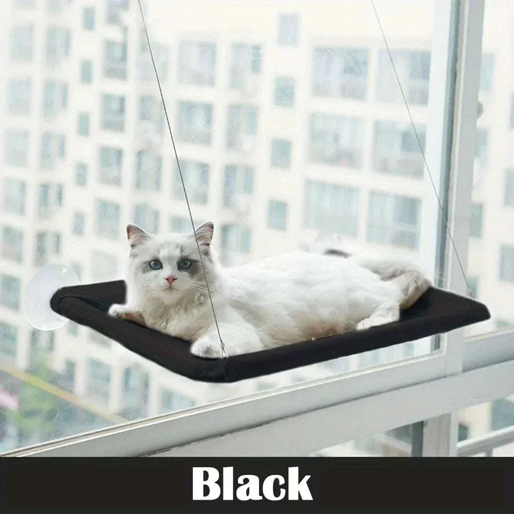 White cat resting on black cat window mounted perch hammock attached to glass window