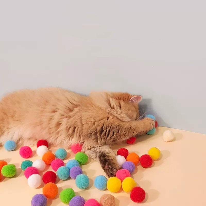 Cat playing with colorful plush balls from silent ball gun interactive toy for cats