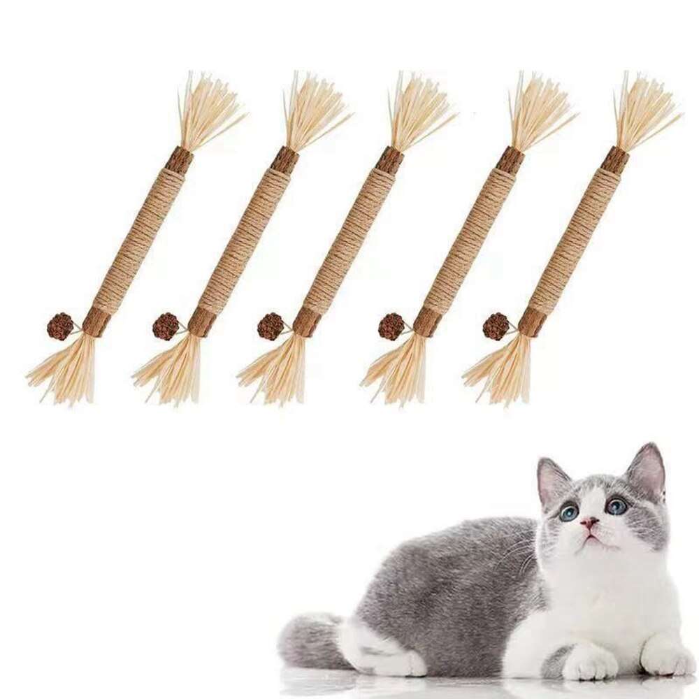Natural Silvervine Stick cat chew toys set with playful cat lying nearby