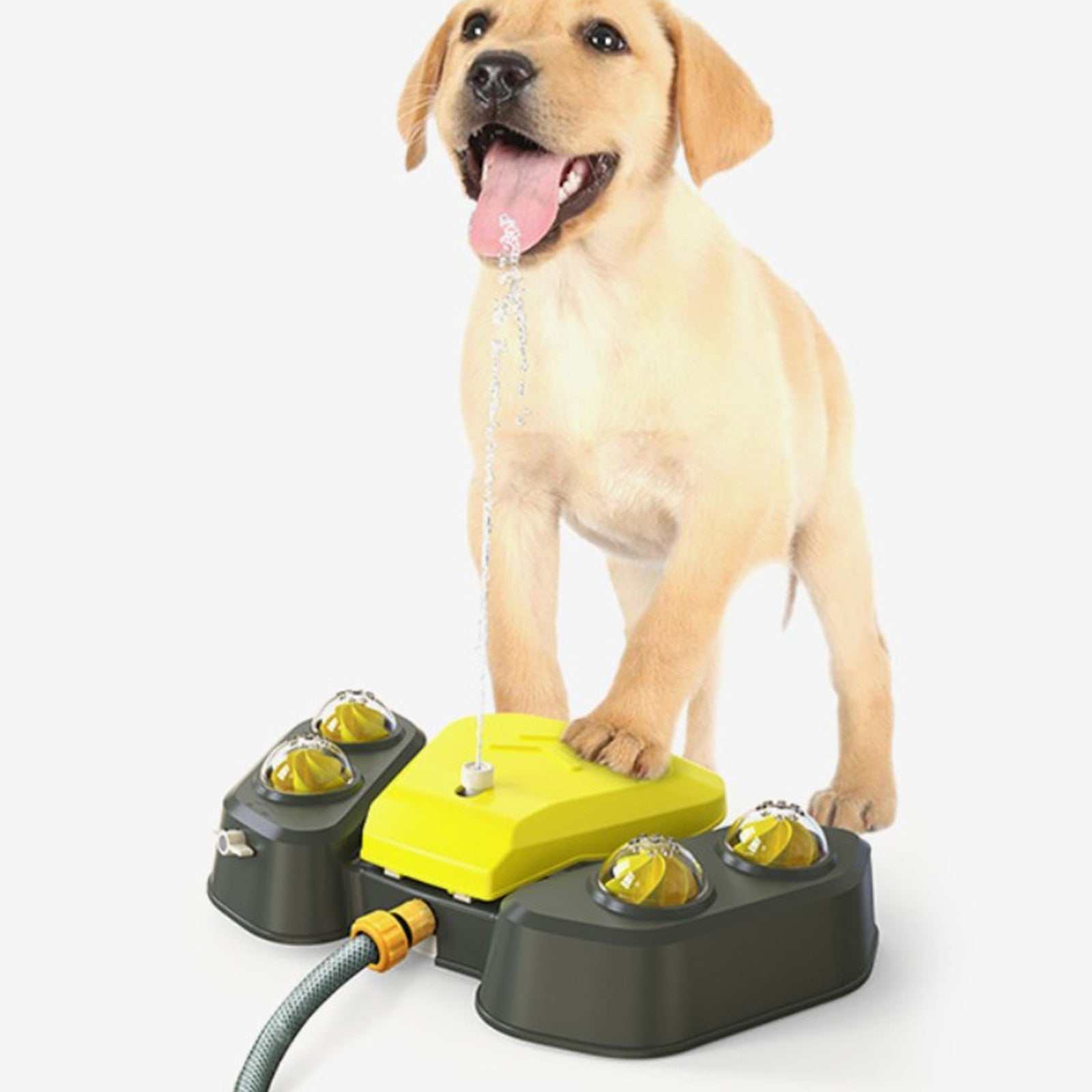 Puppy drinking from automatic dog water sprinkler with attached hose and water spray function
