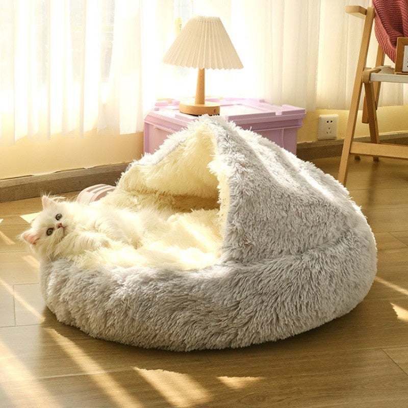 cute bear paw shape fluffy pet bed with cozy interior and relaxed white cat inside on wooden floor in sunny room