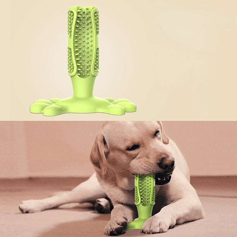 Green EZ Care dog toothbrush chew toy with paw base for self-cleaning teeth