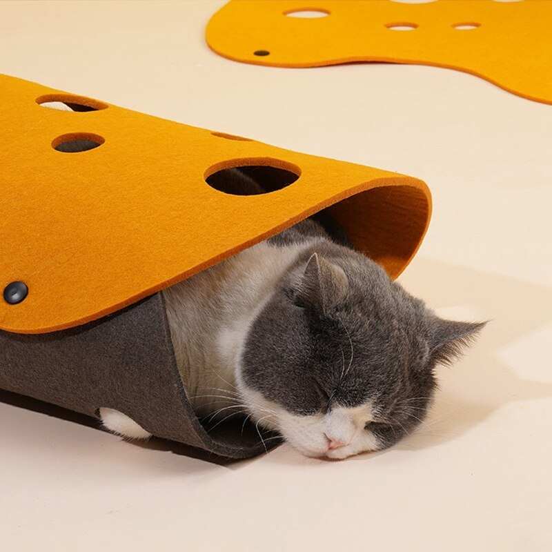 Gray and white cat sleeping inside orange and gray cat tunnel toy with circular holes