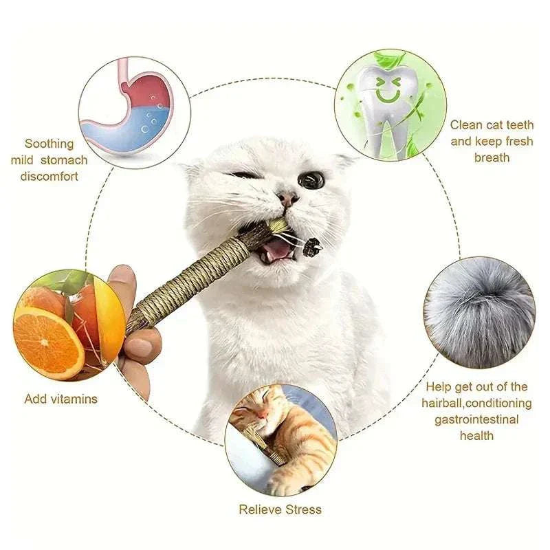 Cat Silvervine Chewing Stick for dental health, stress relief, and gastrointestinal support