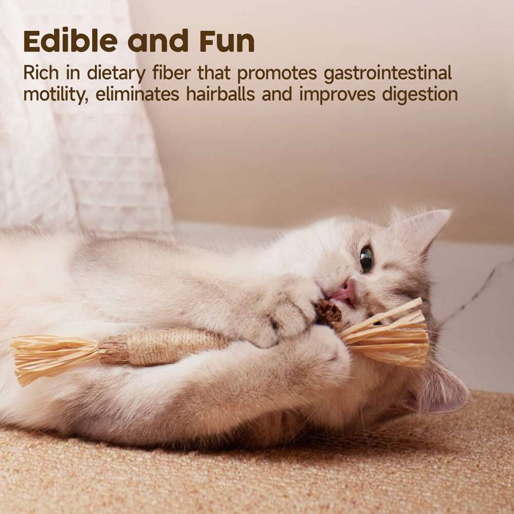 Cat playing with Natural Silvervine Stick chew toy promoting dental health and digestion