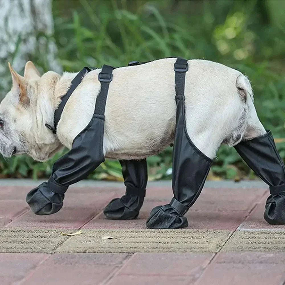 Dog wearing adjustable connected dog boots for ultimate paw protection on pavement