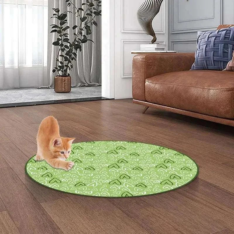 Kitten playing with 2 in 1 simulated interactive hunting cat toy on green mat in living room