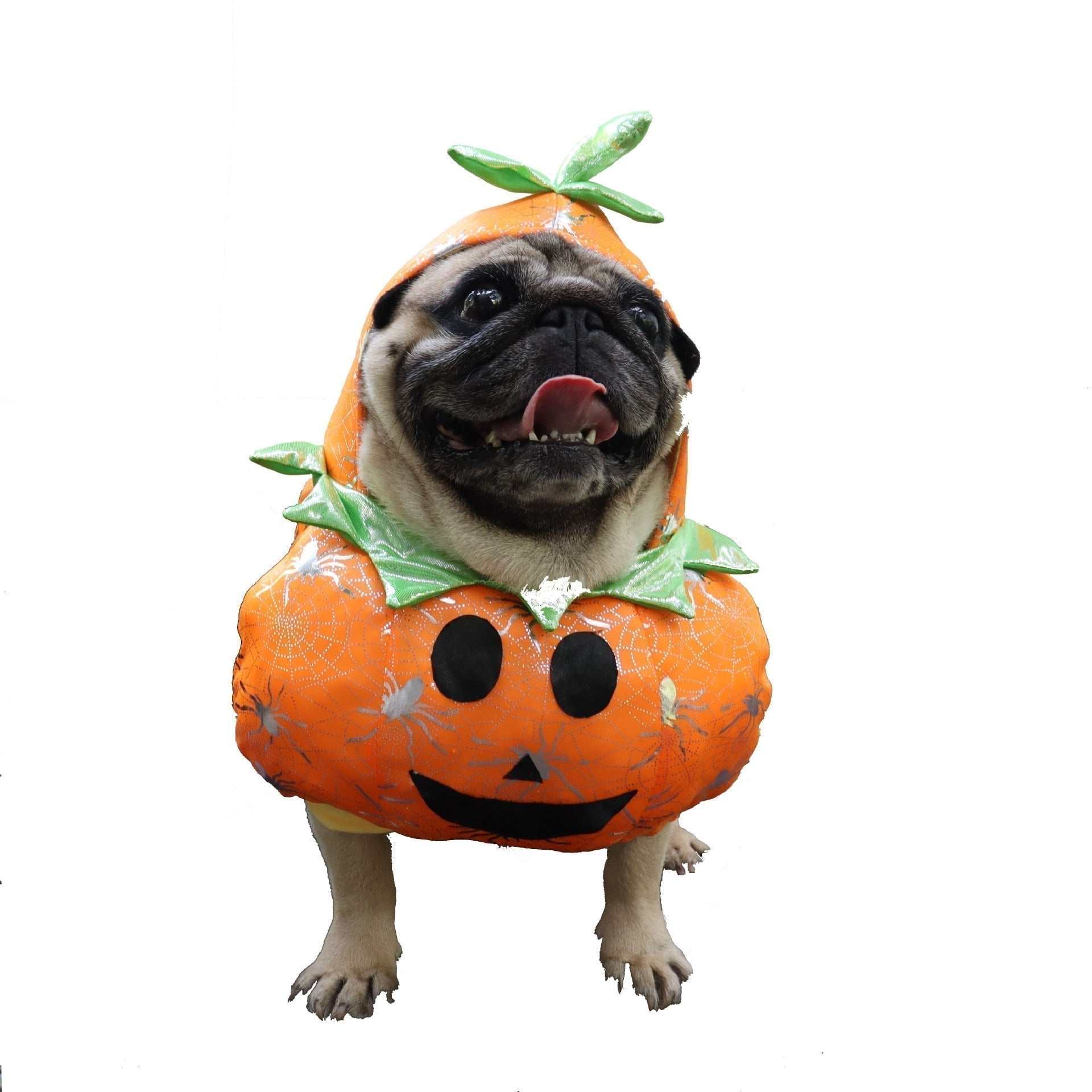 Dog wearing an orange pumpkin Halloween costume with green leaf details