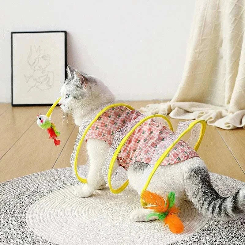 Cat playing with Self-play Cat Hunting Spiral Tunnel Toy with attached feather and ball toys indoors