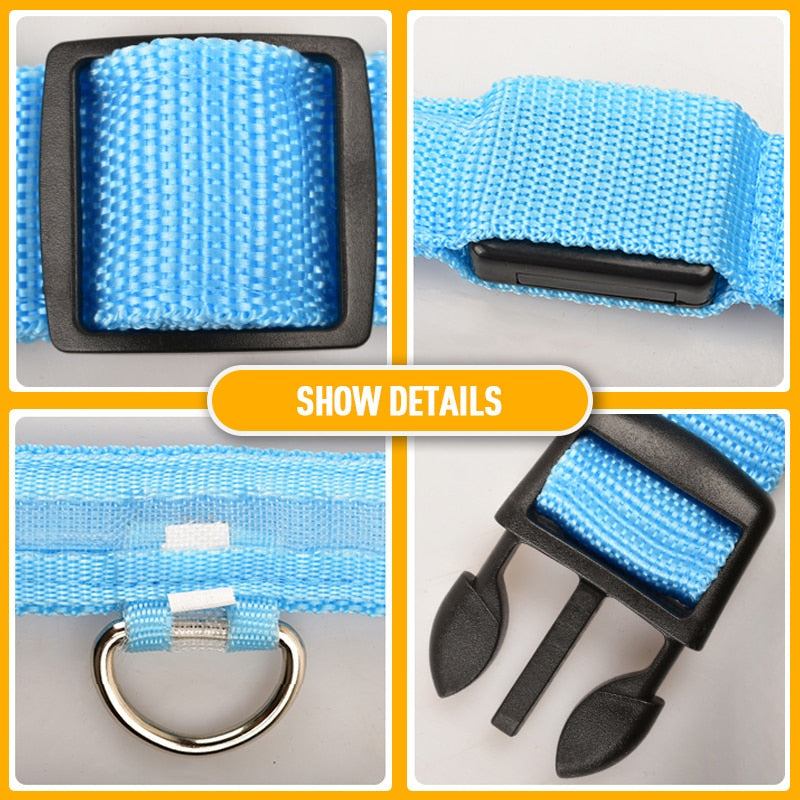 Close-up details of blue LED flashing dog collar with adjustable buckle, metal D-ring, and safety clasp
