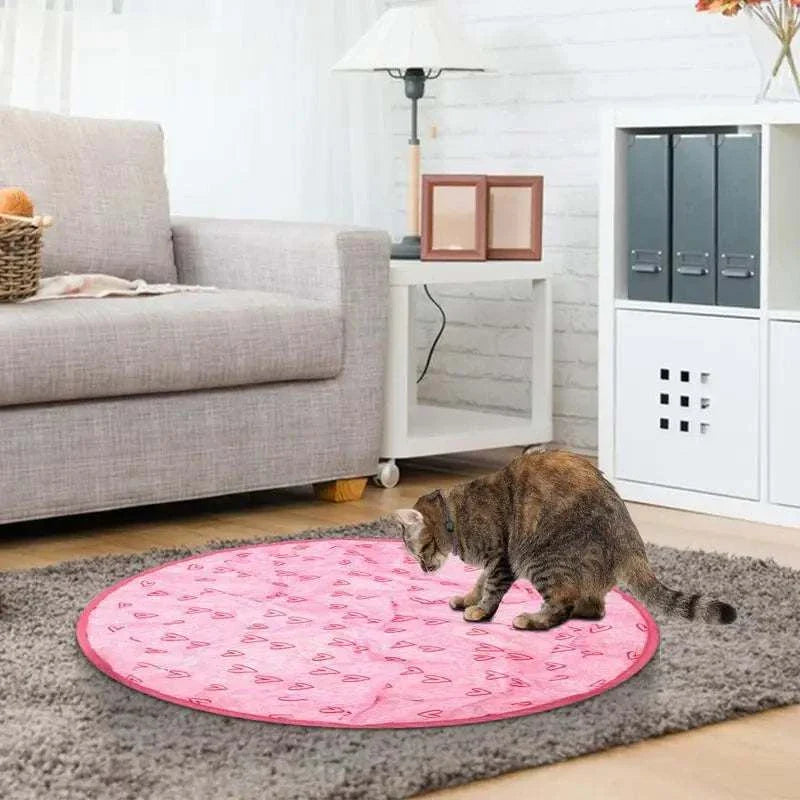 Cat playing with 2 in 1 Simulated Interactive Hunting Cat Toy on pink mat in living room
