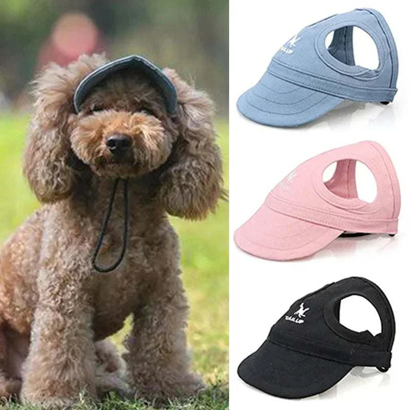 Small pets hat for sun protection in blue, pink, and black colors worn by a dog outdoors.