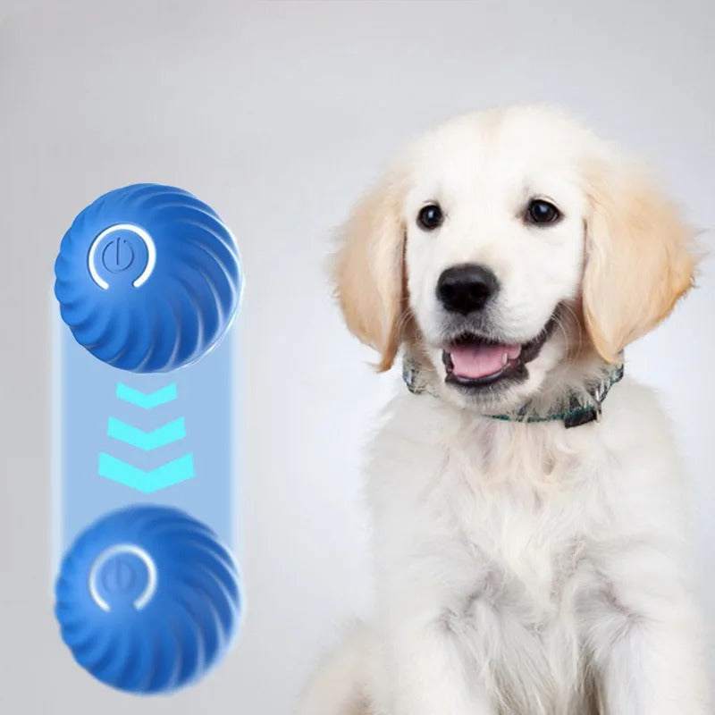 Interactive motion activated rolling ball toy with blue color and playful golden retriever puppy